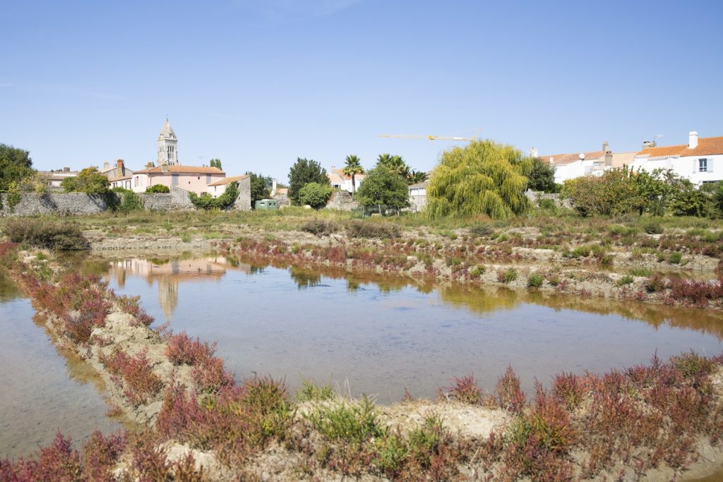 Noirmoutier-en-l'île vue des marais
