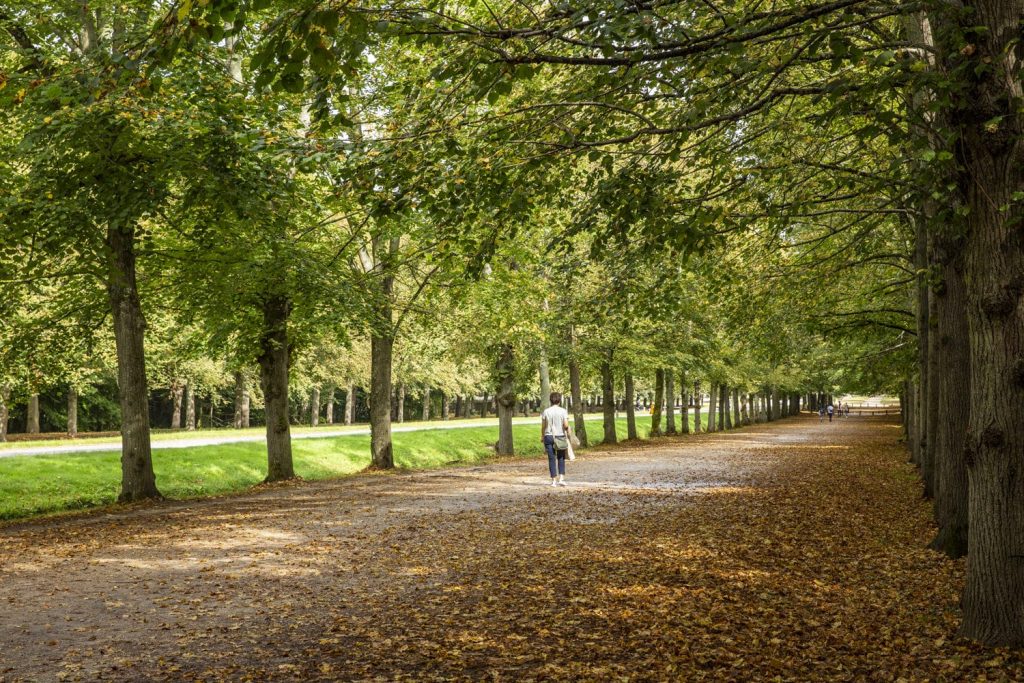 allées-jardins-versailles_