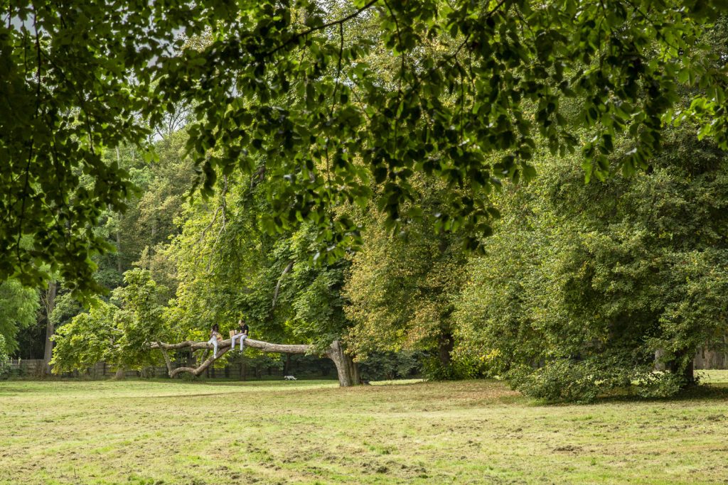 parc-de-versailles