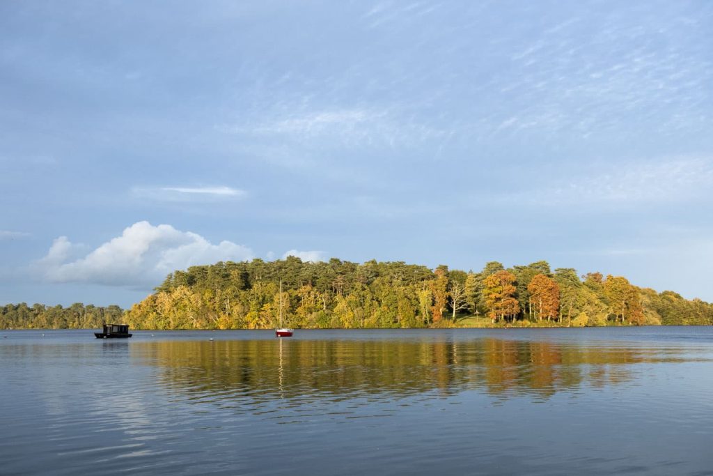 Automne-gandonniere