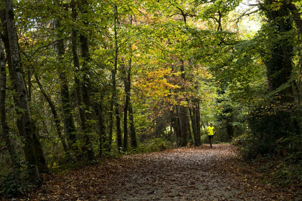 Automne-gandonniere-2