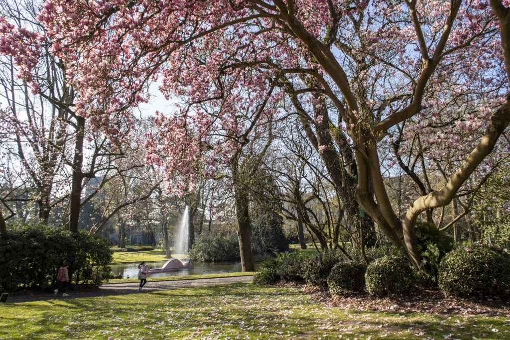 Jardin-des-plantes-Nantes-2
