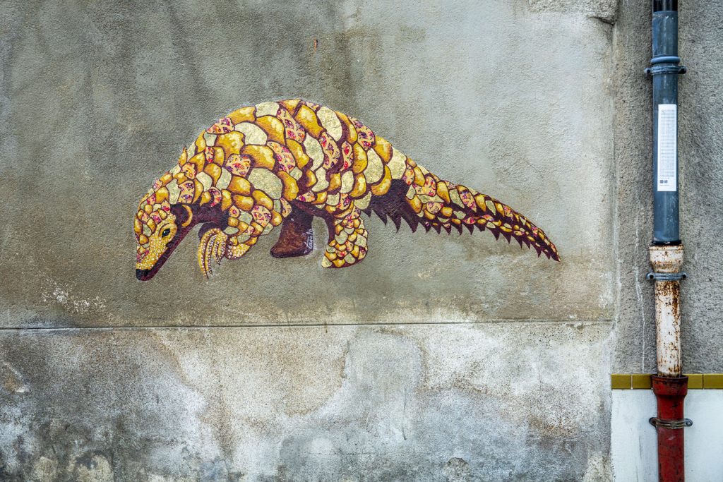 Pangolin-street-art-Tanala