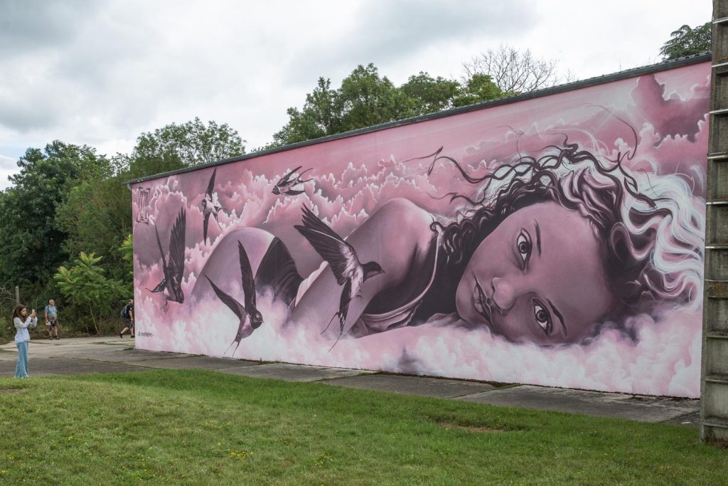 Pink-spring-aero-Street-art-City