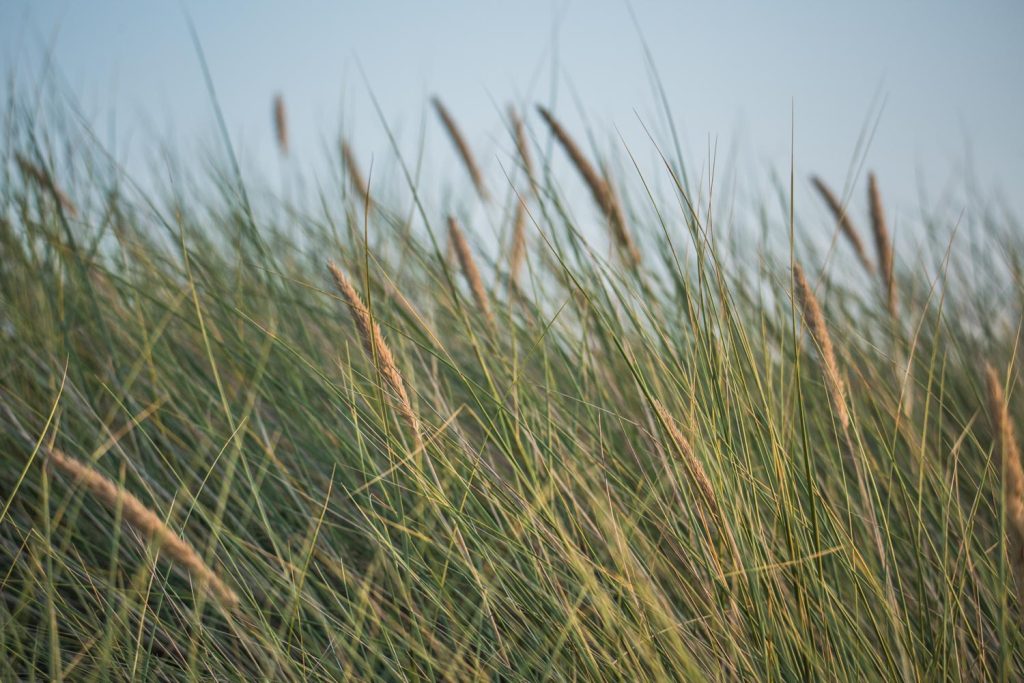 dune-plage-les-briantais