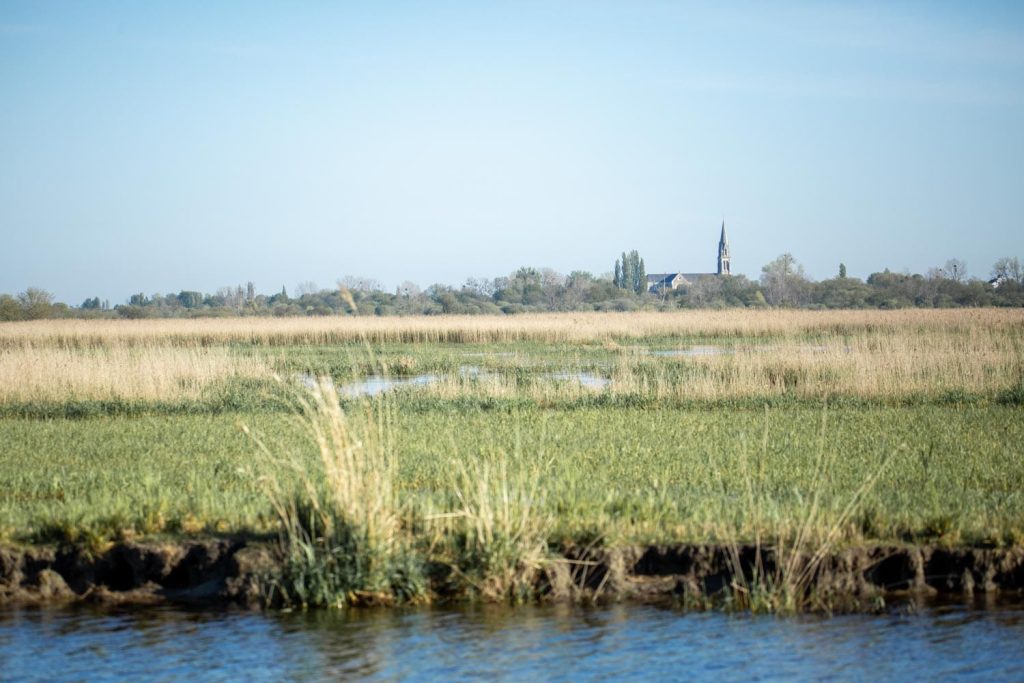 Eglise Saint-Joachim, parc naturel régional de Brière
