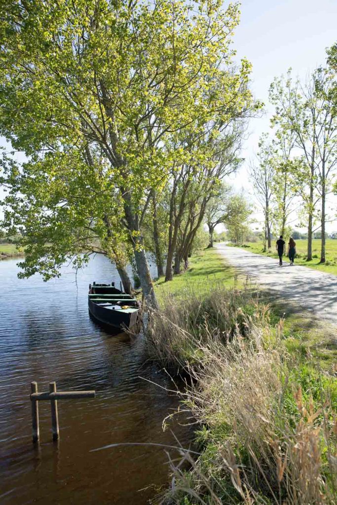 Promenade le long du canal de Rozé