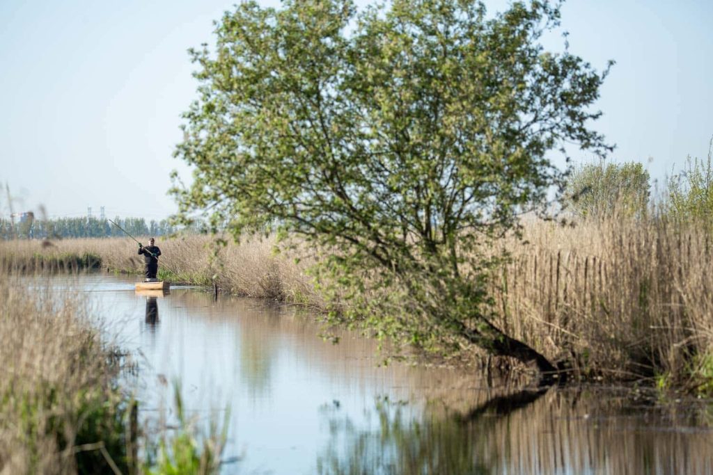 Balade en Chaland dans le parc naturel régional de Brière