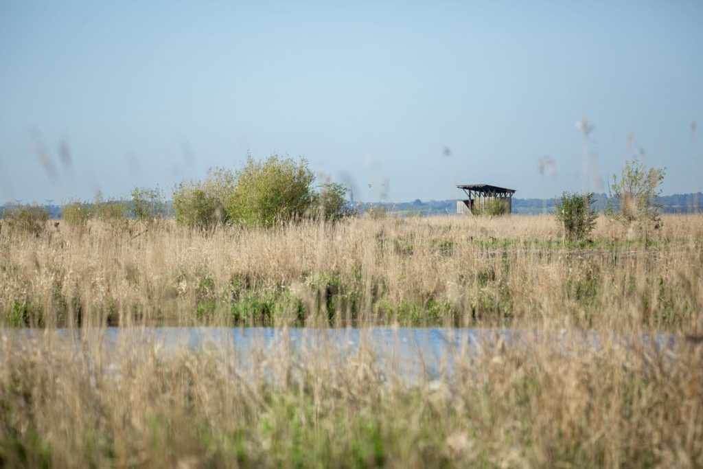 Observatoire ornithologique dans les marais de Brière
