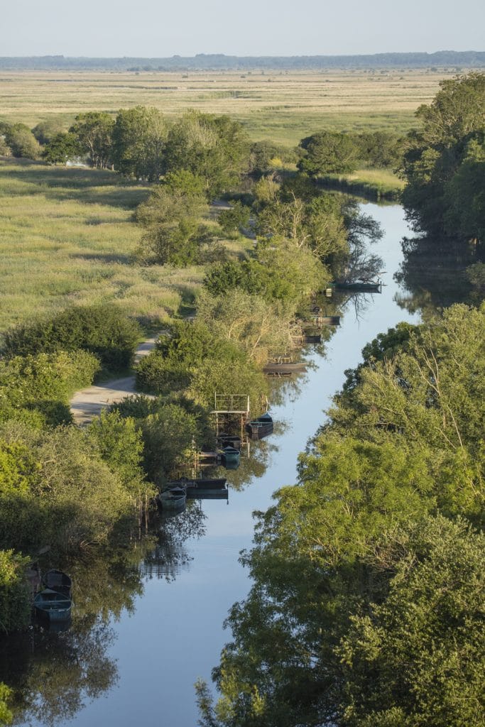 Vue depuis le haut du belvédère de Rozé