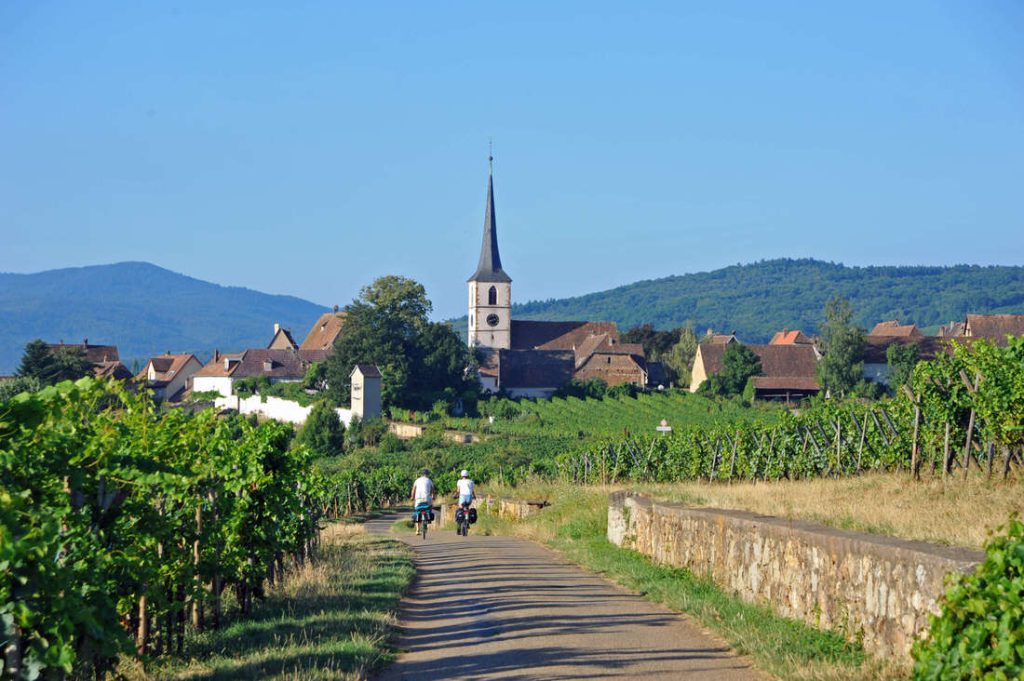 MITTELBERGHEIM-cyclo-EuroVelo-5-Via-Romea-Francigena-Veloroute-du-vignoble-©-C.FLEITH-001