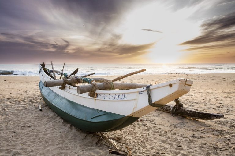 Découvrir la thématique : Idées de voyage