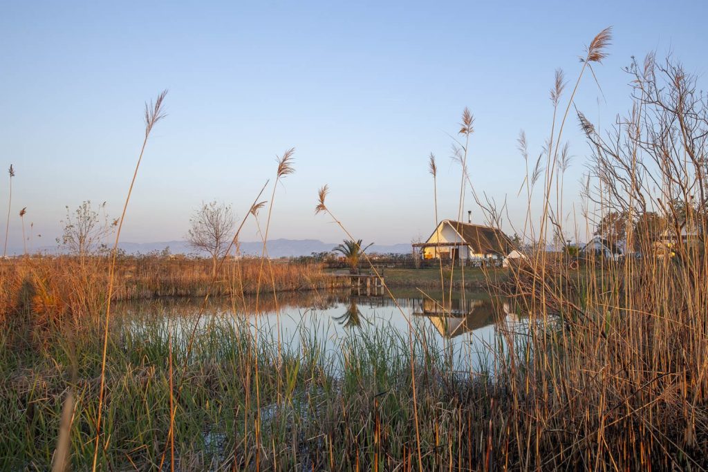 Delta de l'Ebre, Catalogne