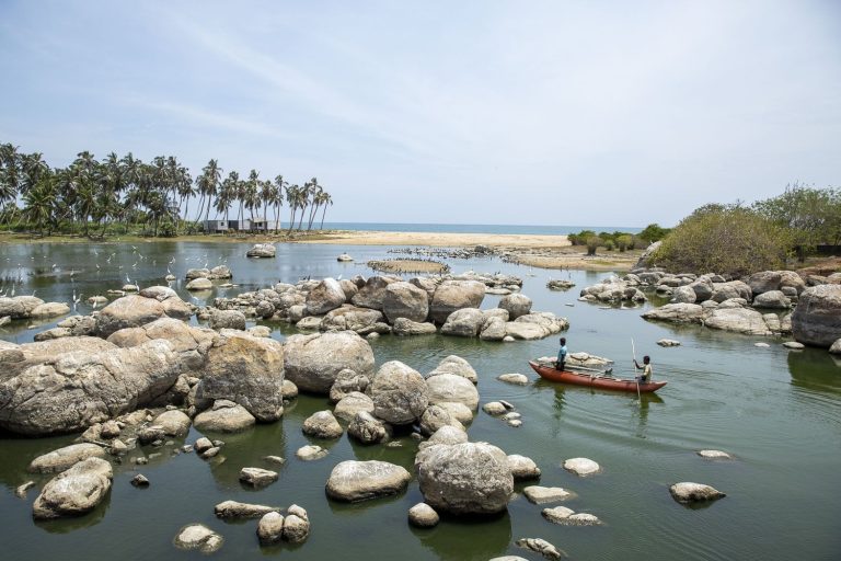 boat safari arugma bay