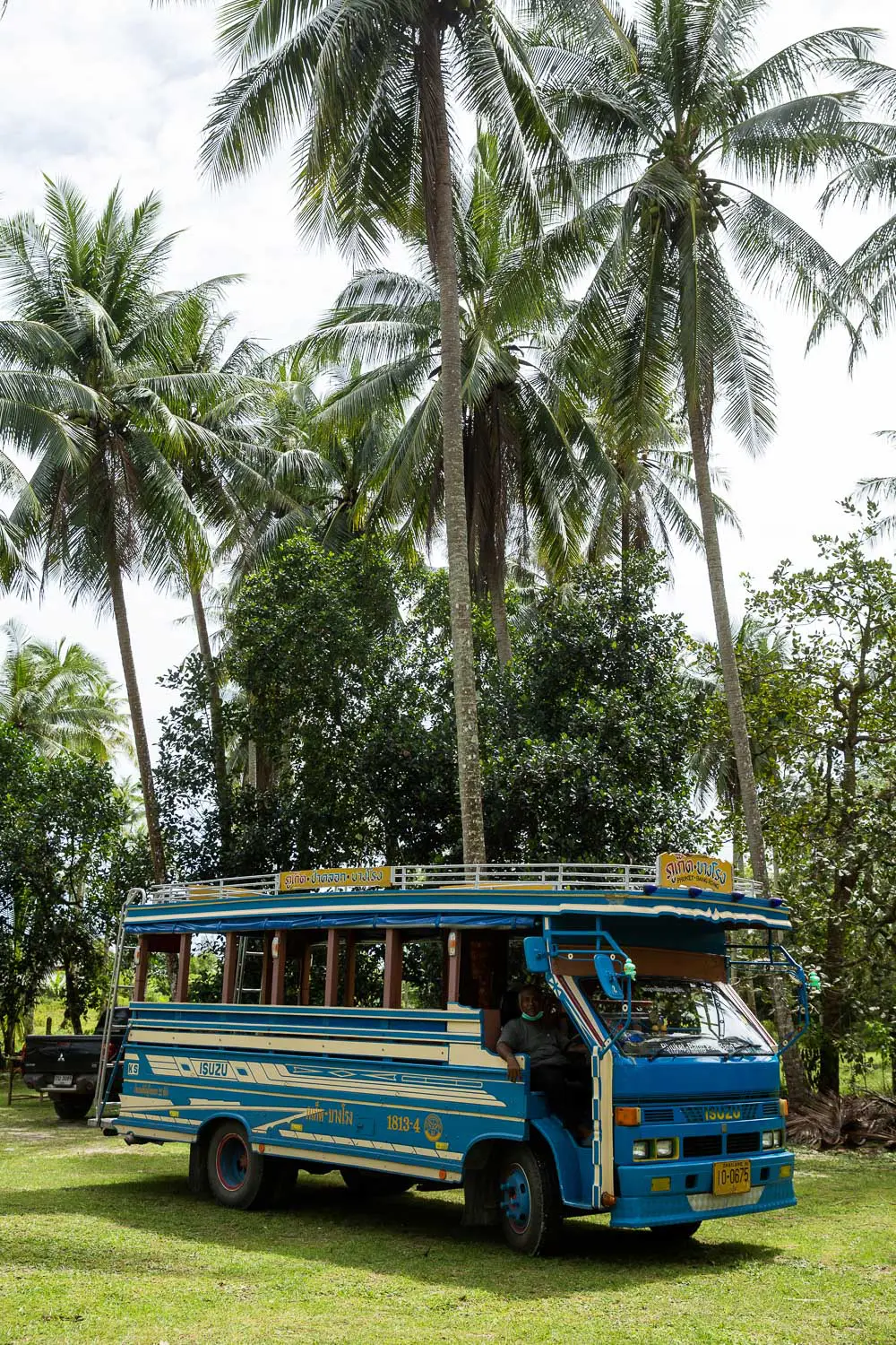 plantation coco