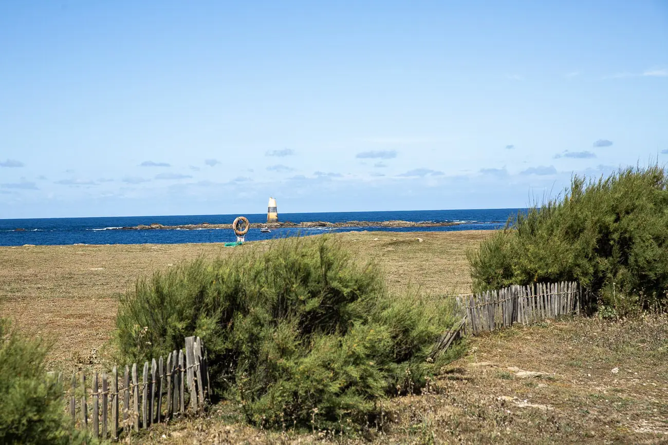 sauvage pointe du but