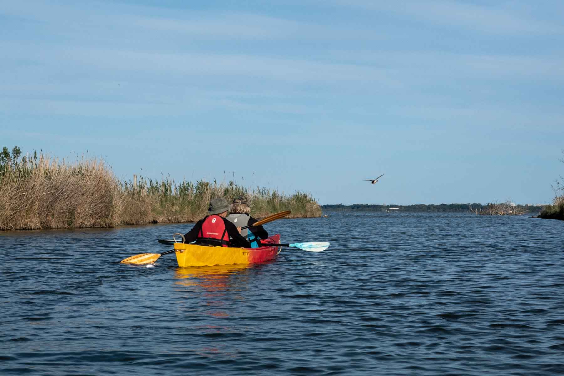 Sortie en kayak sur l'étang de l'or dans l'Hérault