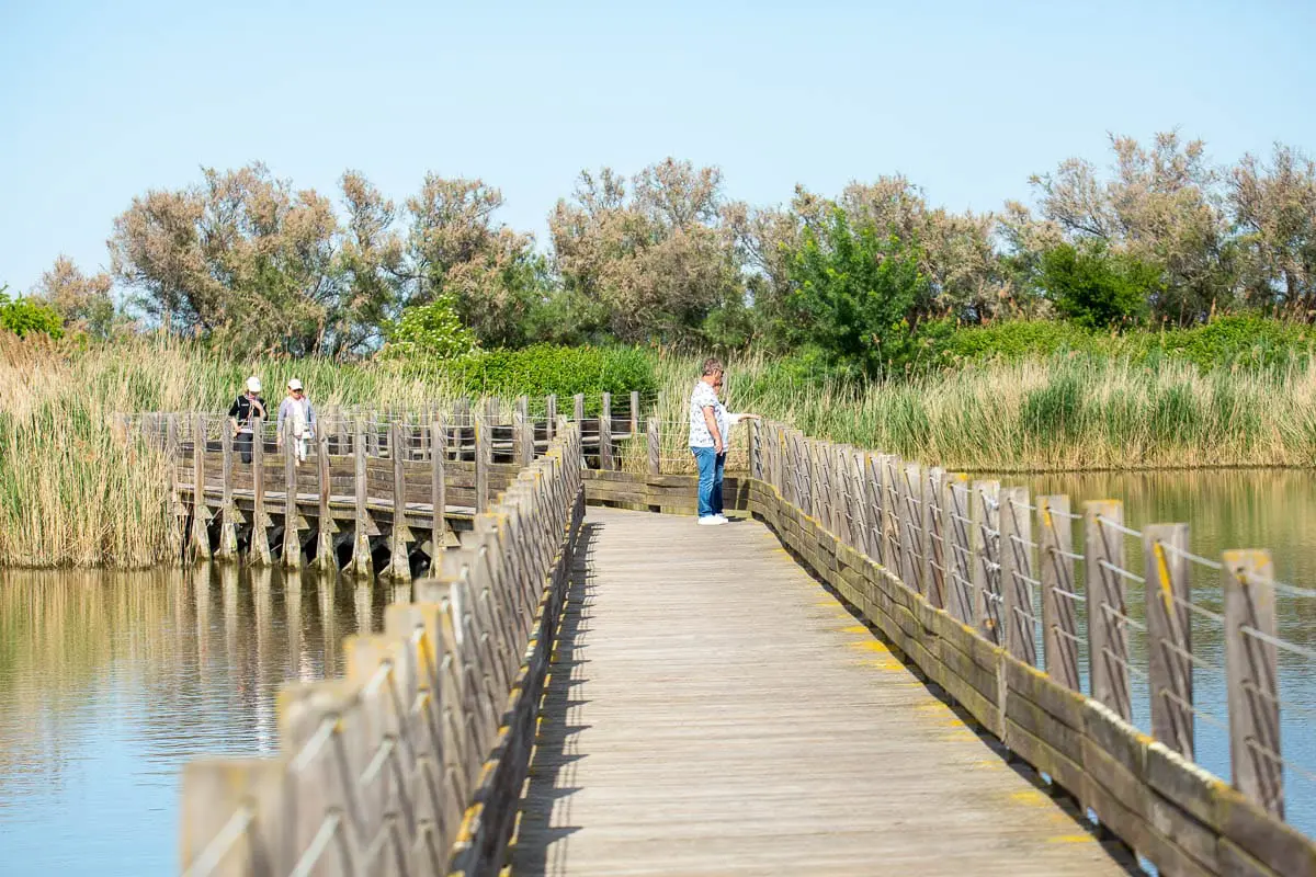 Passerelle sur le site de la réserve naturelle du Méjean dans l'Hérault