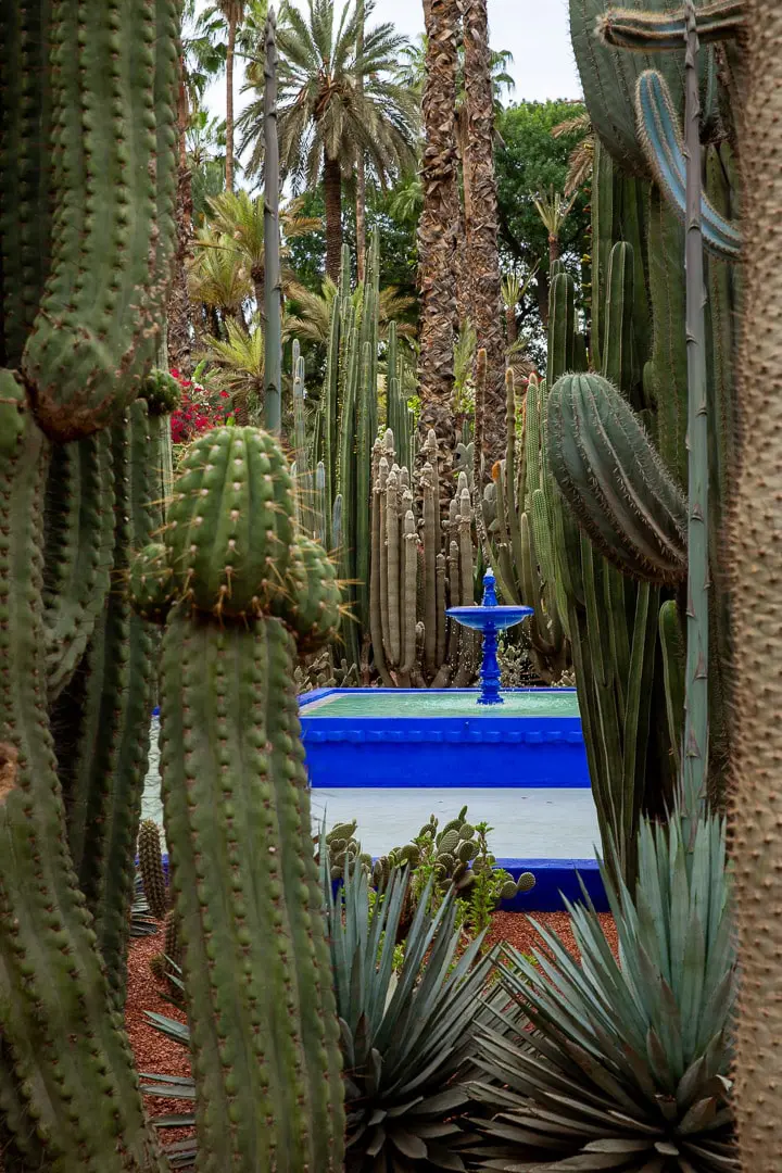 fontaine-jardin-majorelle