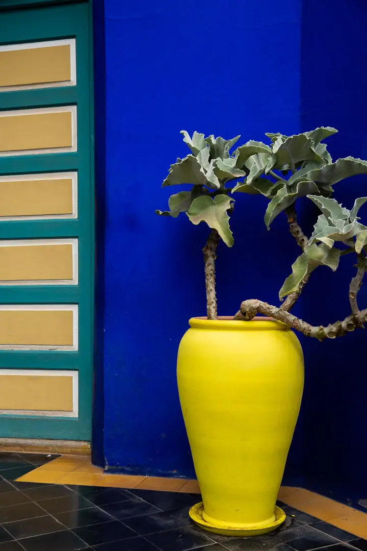 jardin-majorelle