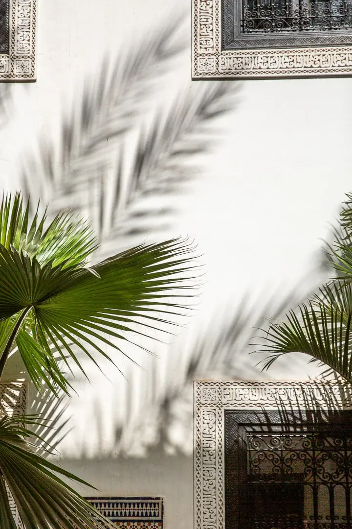 Reflets de palmiers sur un mur de riad à marrakech