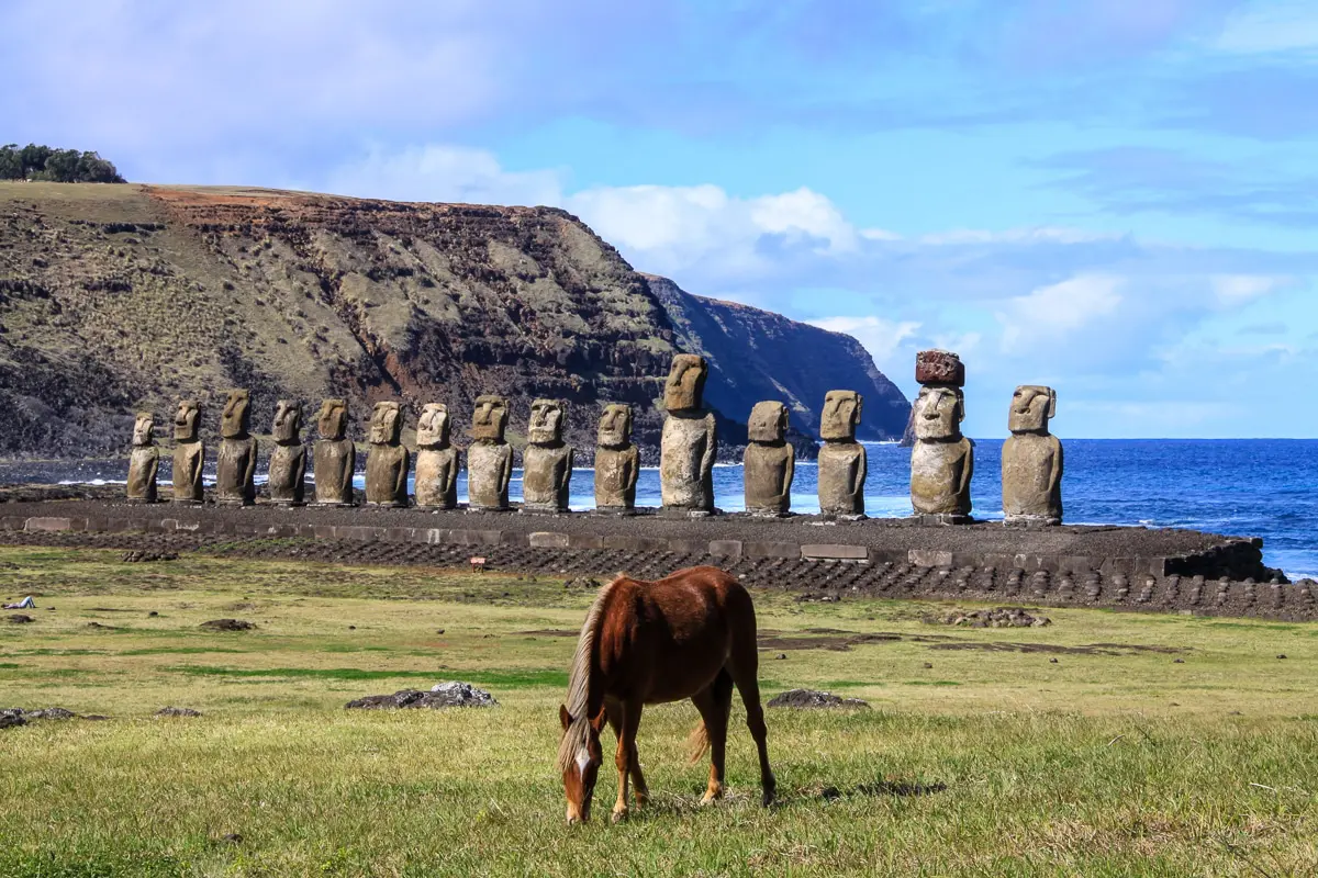 feter-50-ans-ile-de-paques