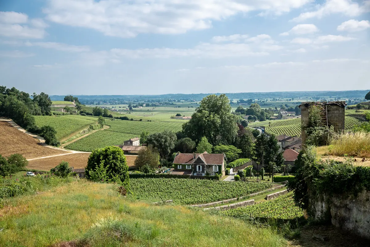 vue sur les vignes de Saint-Emilion depuis la porte Brunet
