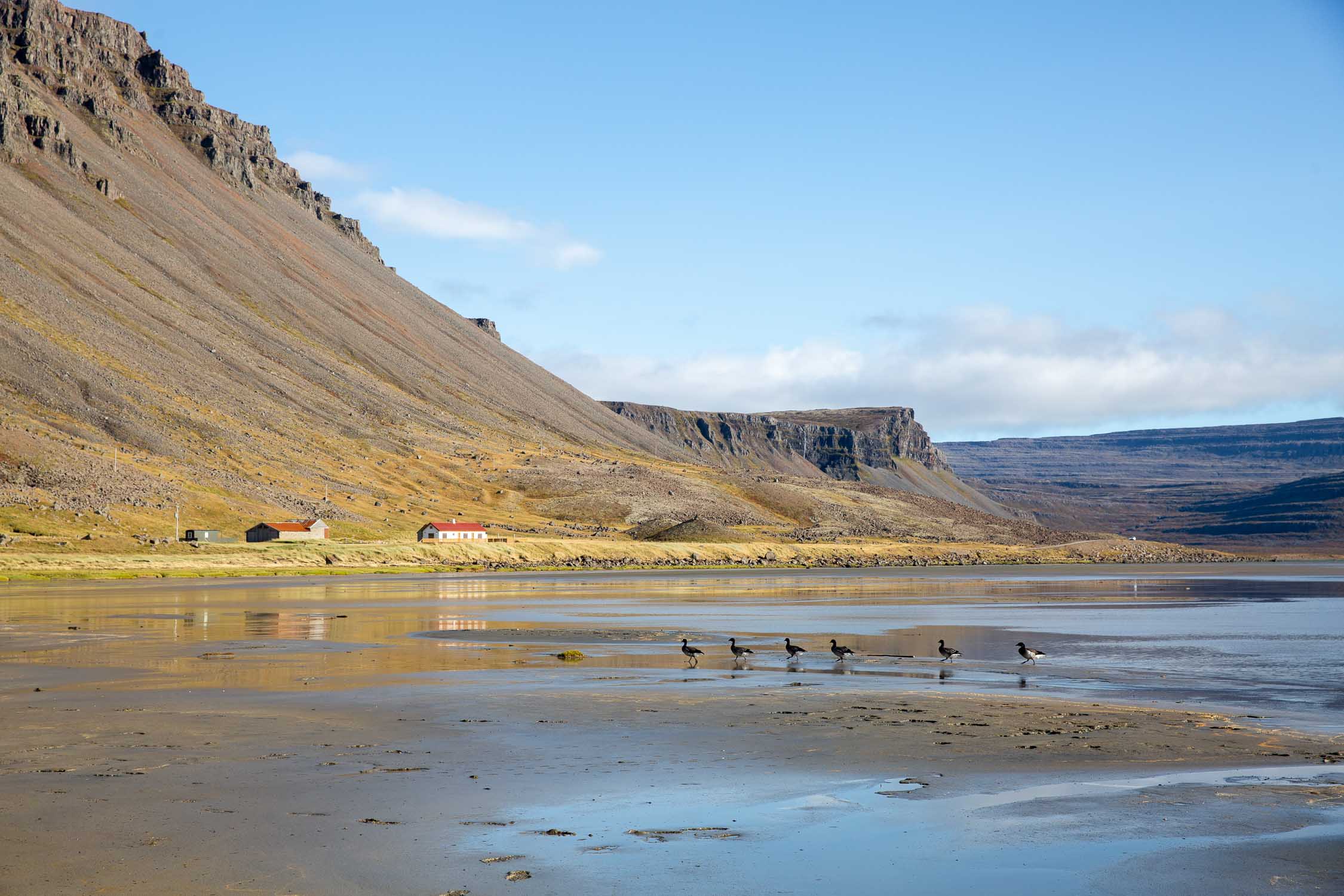 Raudasandur-fjords-ouest