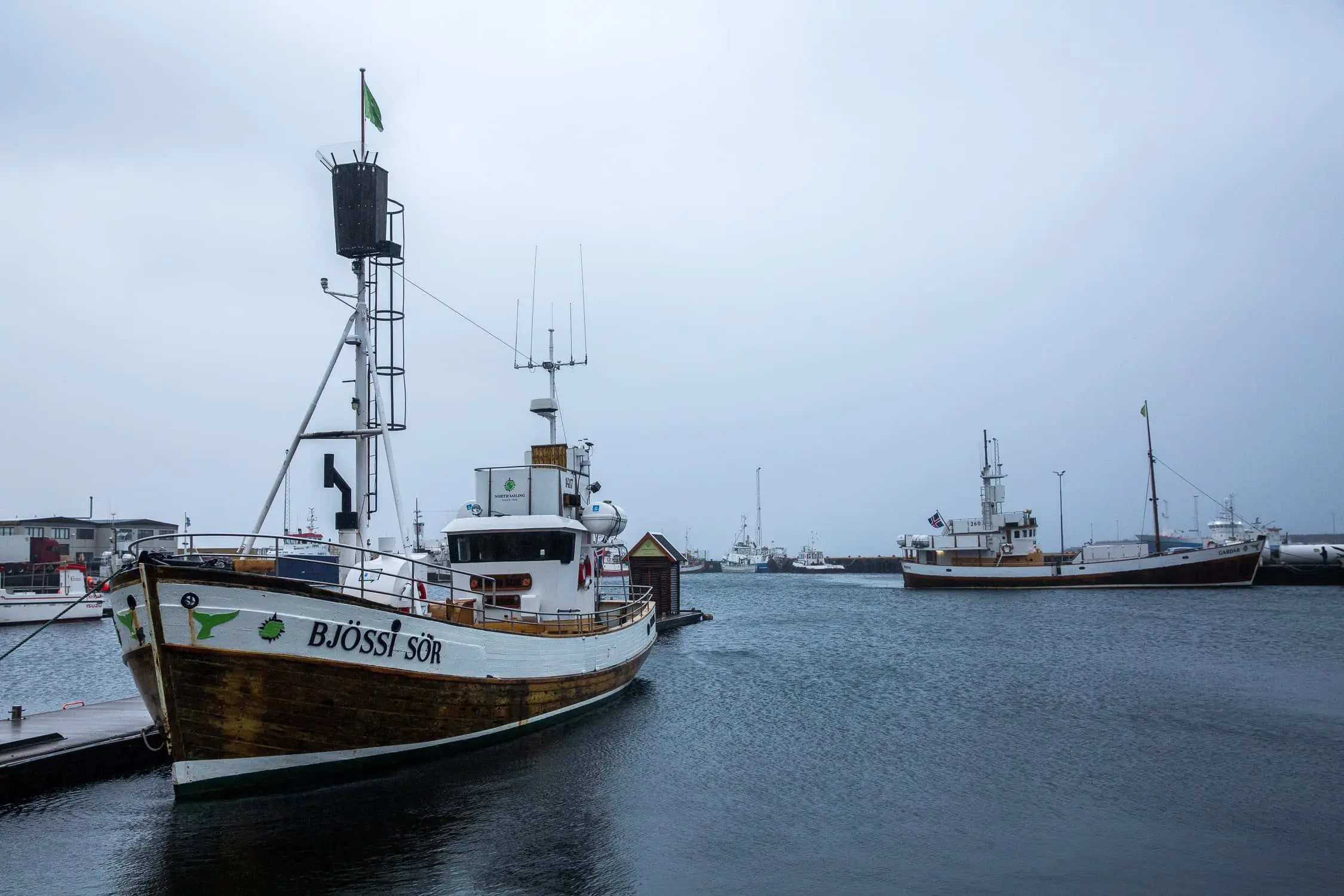 baleines-husavik