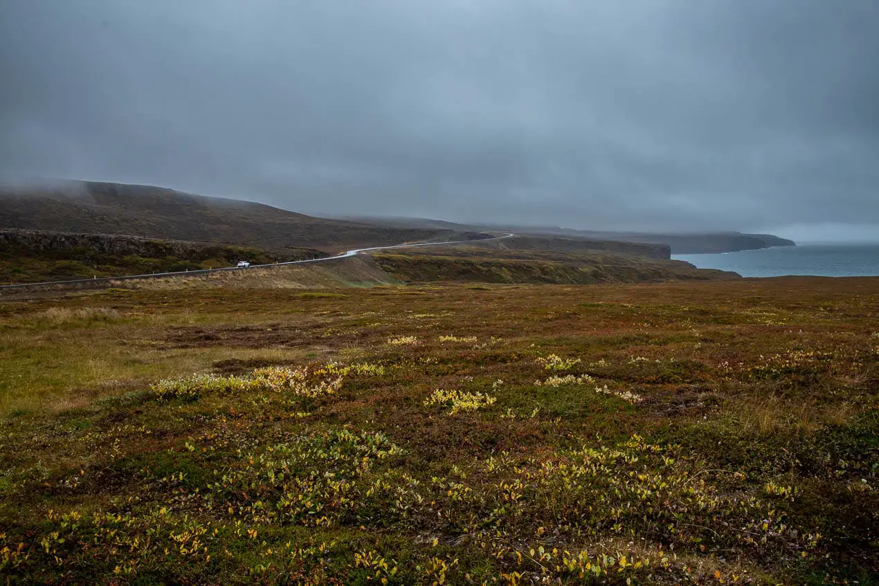 route aux couleurs automnales dans les fjords du nord de l'Islande