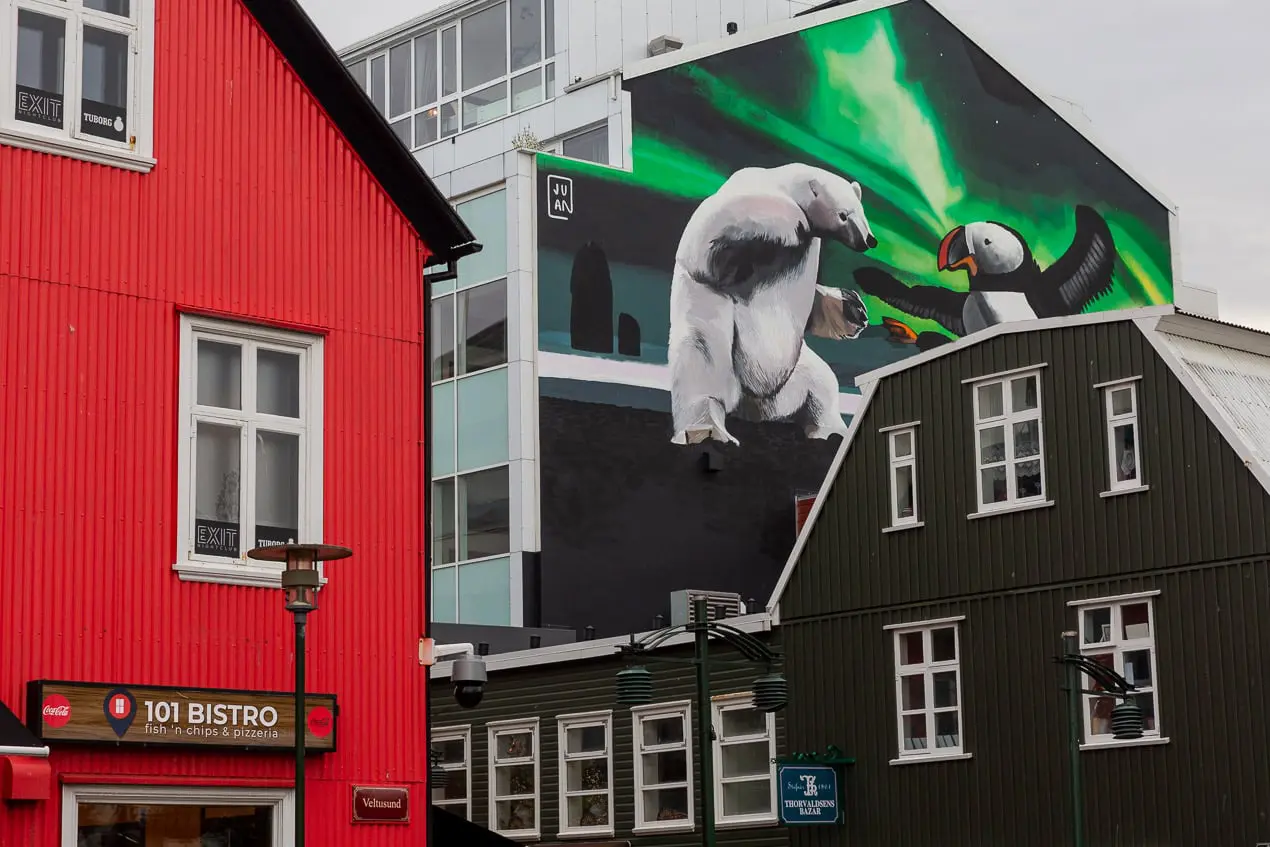 street-art-juan-reykjavik