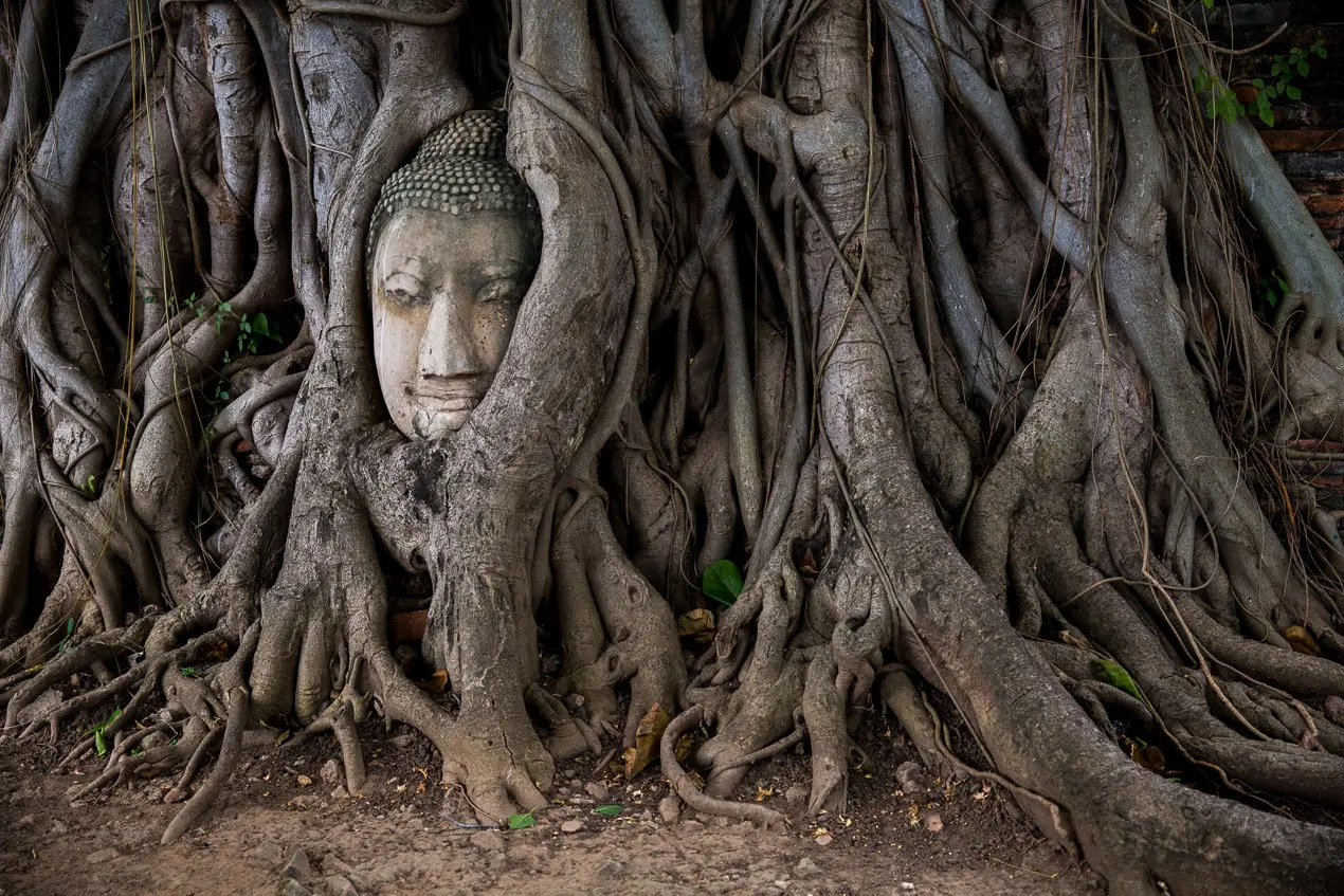 ayutthaya-thailande