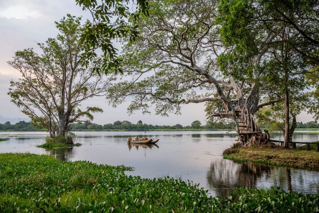 Lac habarana dans l'hôtel Habaran Village