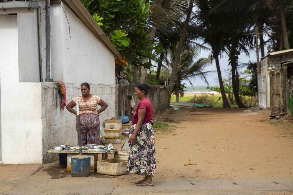 Vendeuses de poisson de rue à Negombo