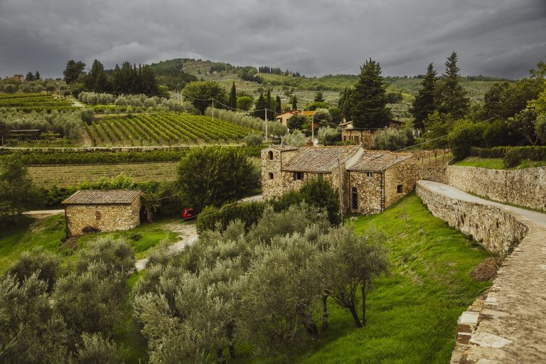 Ferme en pierre entourée d'oliviers et de vignes dans les collines du Chianti florentin en Toscane