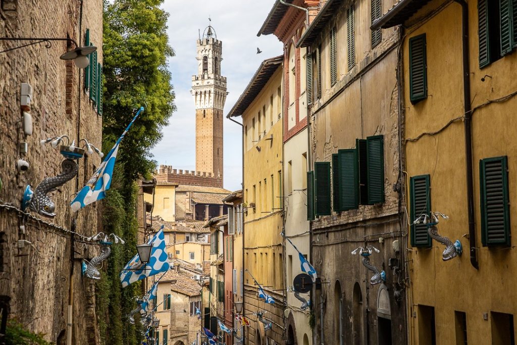 Drapeaux colorés de la contrada dell’Onda à Sienne, suspendus dans une ruelle après le Palio