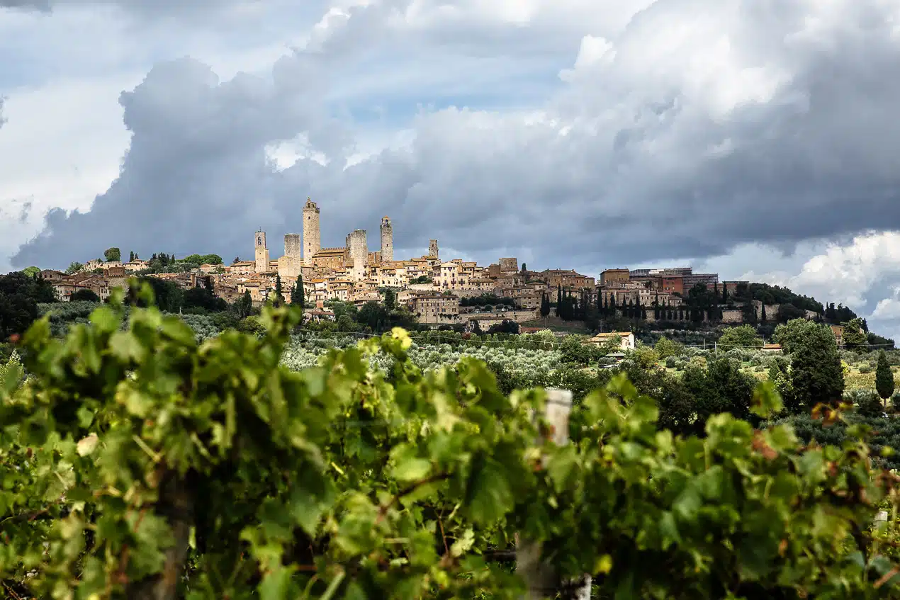 San Gimignano, cité perchée de toscane au milieu des vignes et des champs d'olivier