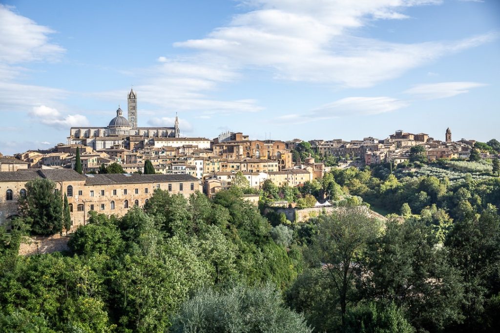 Vue panoramique sur le Duomo de Sienne avec ses coupoles, son campanile rayé, la ville médiévale et un premier plan végétalisé