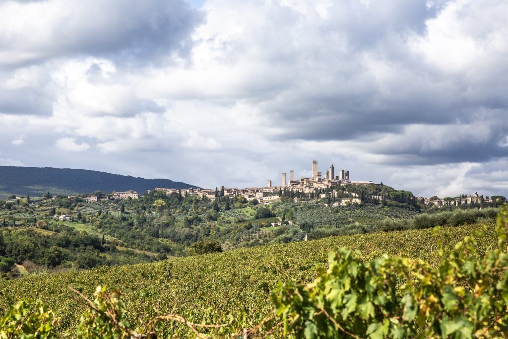 paysage de vignes et d'olivier entourant San Gimignano