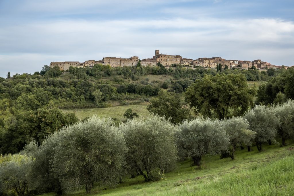 village perché en toscane avec des oliviers en contrebas