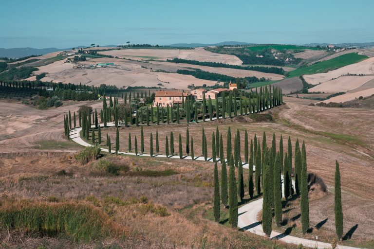 Crete de Senesi et son allée de cyprès