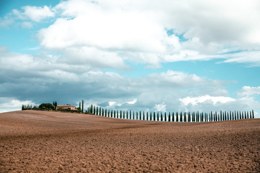 Allée de cyprès en Toscane, Italie