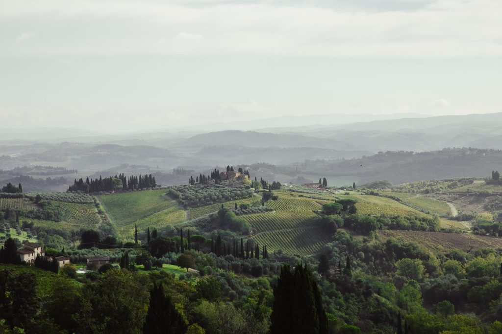 Collines toscanes autour de San Gimignano parsemées de champs d'oliviers, de vignes, et de quelques fermes typiques