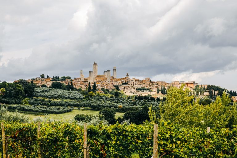 ville de San Gimignano et ses tours médiévales avec en premier plan des vignes, sous un ciel nuageux