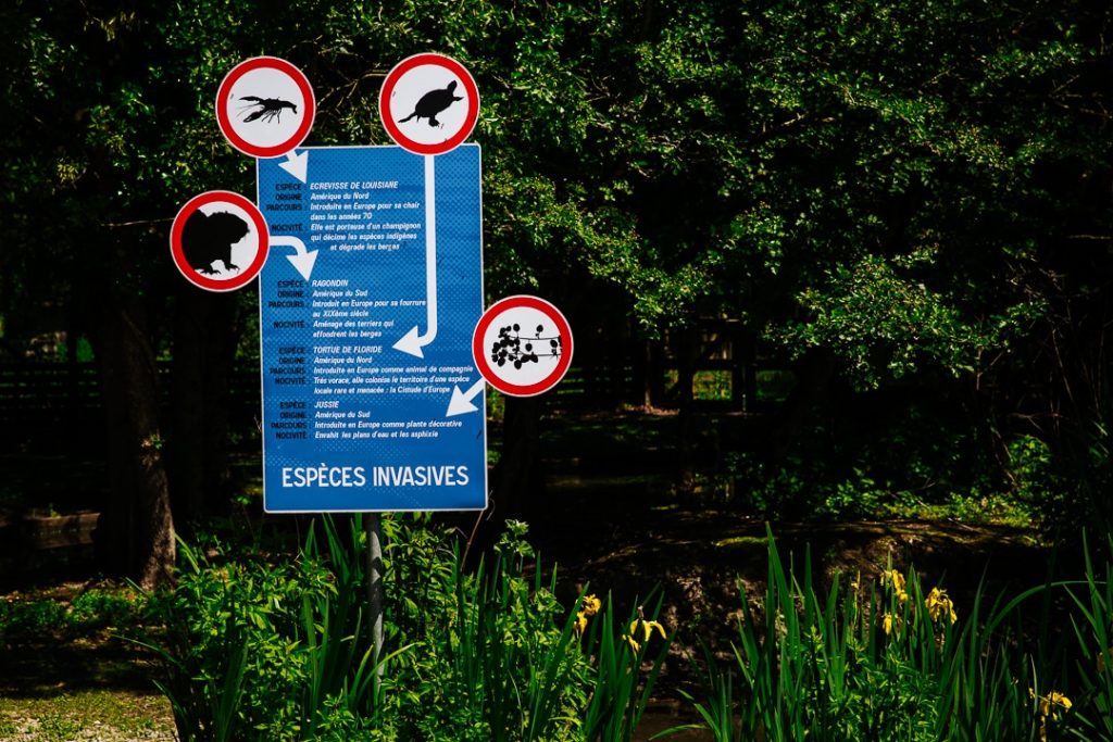 Affichage sur les espèces invasives dans le marais aux oiseaux