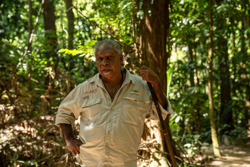 aborigène dans la forêt de Daintree dans le queensland