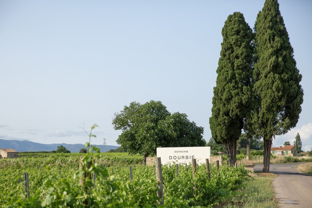 Entrée du domaine de la Dourbie entourée de vignes et de cyprès