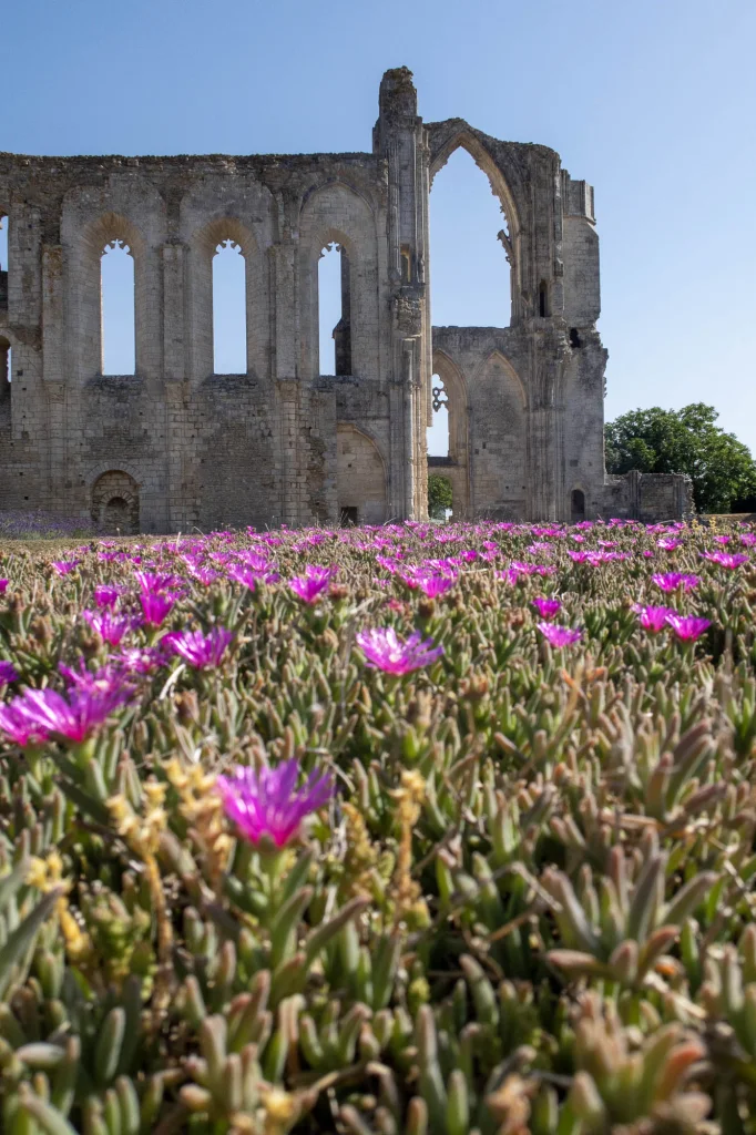 Parterre fleuri devant l'abbaye de Maillezais