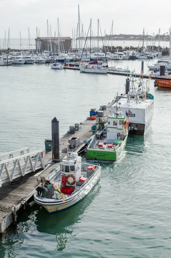 Bateaux de pêche de l'Herbaudière