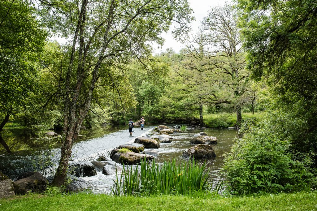 2 pêcheurs dans la Sèvre nantaise, côté bocage vendéen